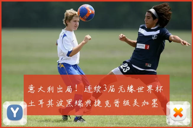 意大利出局！连续3届无缘世界杯 土耳其波黑瑞典捷克晋级美加墨