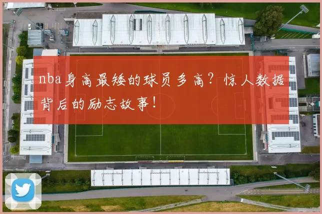 nba身高最矮的球员多高?惊人数据背后的励志故事!