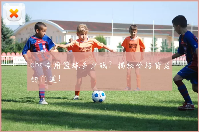 cba专用篮球多少钱？揭秘价格背后的门道！