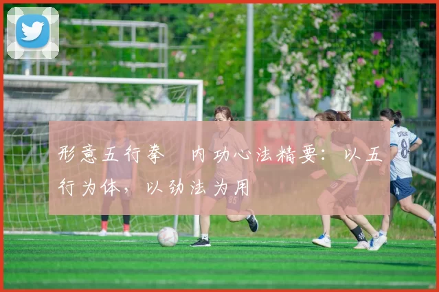 形意五行拳・内功心法精要：以五行为体，以劲法为用