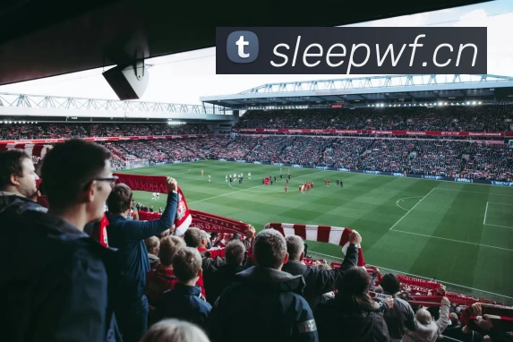 欧冠C罗詹俊，一场激情解说与传奇球星的梦幻碰撞！